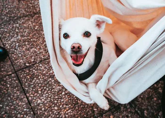 Ostello Bello Napoli *